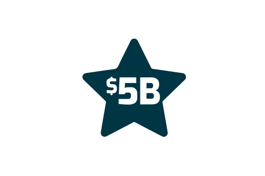 $5B